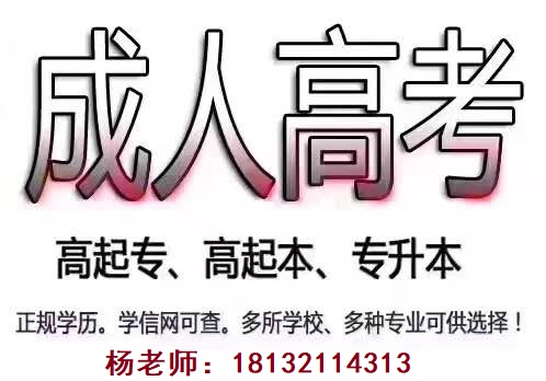 河北成人高考報哪些學(xué)校好？
