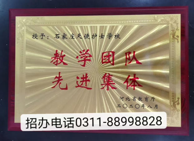 石家莊天使護(hù)士學(xué)校2025年春季什么專(zhuān)業(yè)招生
