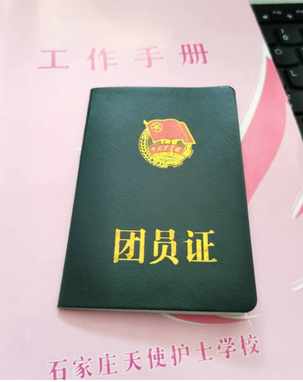 在石家莊天使護(hù)士學(xué)?？梢匀雸F(tuán)嗎?