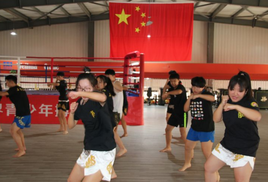 石家莊開設體育專業(yè)、武術專業(yè)的學校